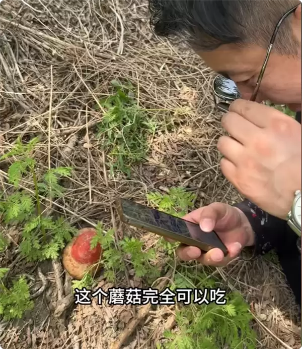 AI误导多人食用毒蘑菇进ICU 疾控部门发布提醒