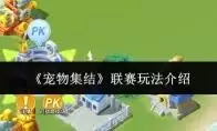 宠物集结超级喷火龙养成全攻略