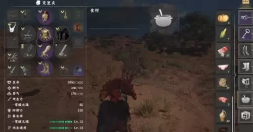 红色沙漠赤羽迅猛龙坐骑4