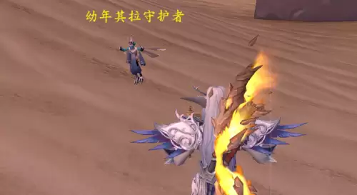 魔兽世界幼年其拉守护者2 魔兽世界幼年其拉守护者2