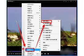 kmplayer plus怎么全屏