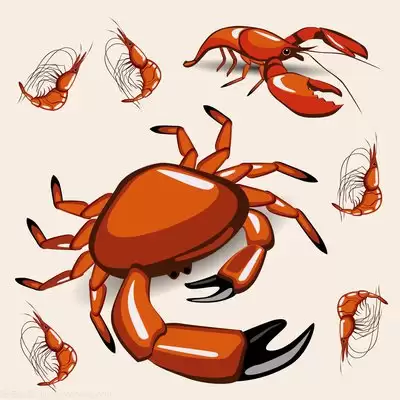 万物皆可蟹动物进化万毒盾反流打法