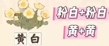桃源深处有人家虞美人培育育种配方指南
