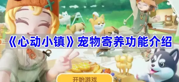 心动小镇宠物寄养功能介绍