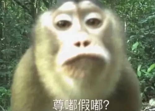 尊嘟假嘟是什么梗3