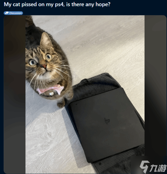 猫咪在PS4上尿了！网友崩溃求助：还有救吗？