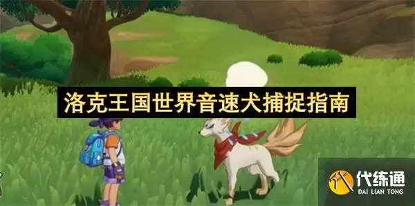 洛克王国世界音速犬捕捉指南_音速犬