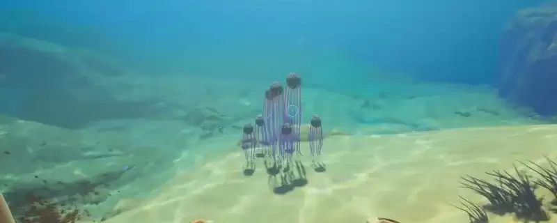 深海迷航2：异星水域死腐水母包裹获取攻略-详细方法介绍