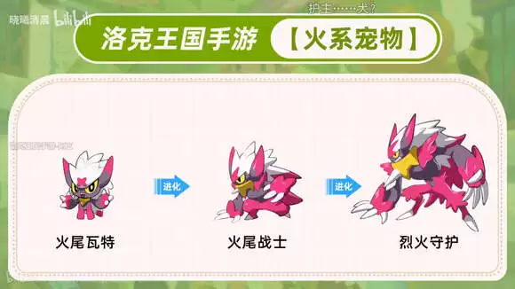 洛克王国世界辅助宠物怎样选