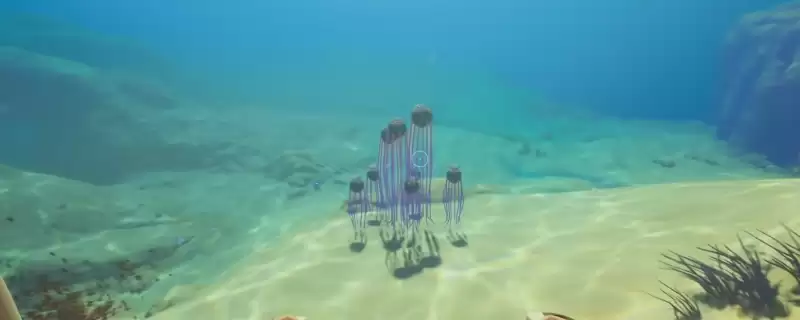 深海迷航2：异星水域死腐水母包裹获得方法介绍