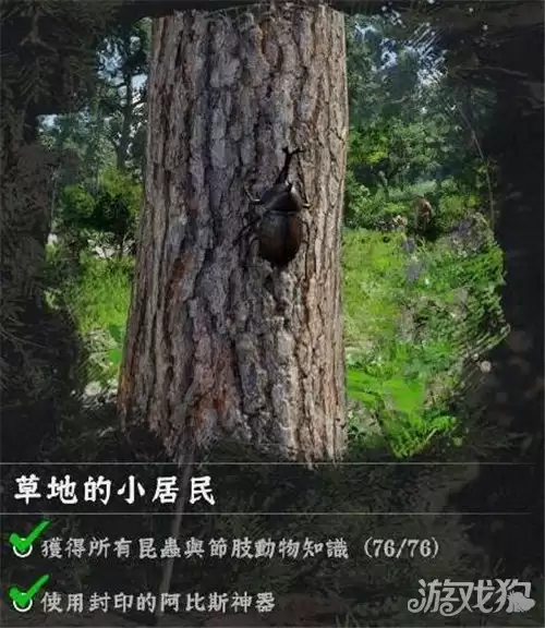 红色沙漠挑战任务 蝴蝶收集攻略 如何收集蝴蝶