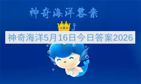 神奇海洋今日答案5月16日2026
