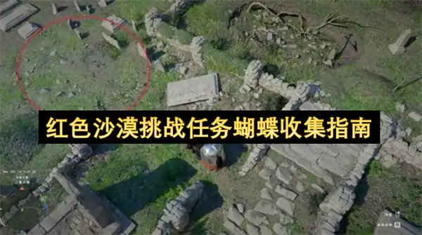 红色沙漠挑战任务：蝴蝶收集指南