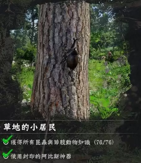 红色沙漠蝴蝶地点