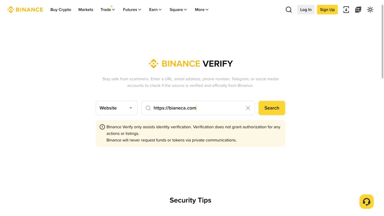 在 Website 查询框输入相似但错误的网址 bianeca.com