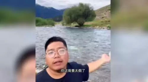 你这背景太假了是什么时候的梗1