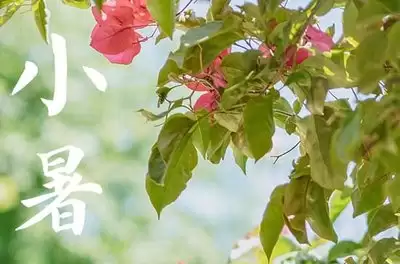 小暑时节哪类天气现象更常见