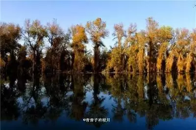 死亡呼啸游戏全成就达成方法