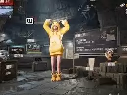和平精英怎样玩好