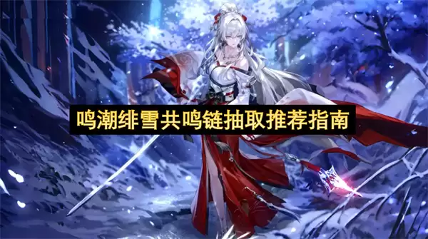 鸣潮绯雪共鸣链抽取建议指南