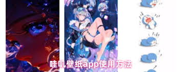 哇叽壁纸app怎么使用