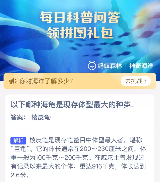 以下哪种海龟是现存体型最大的种类