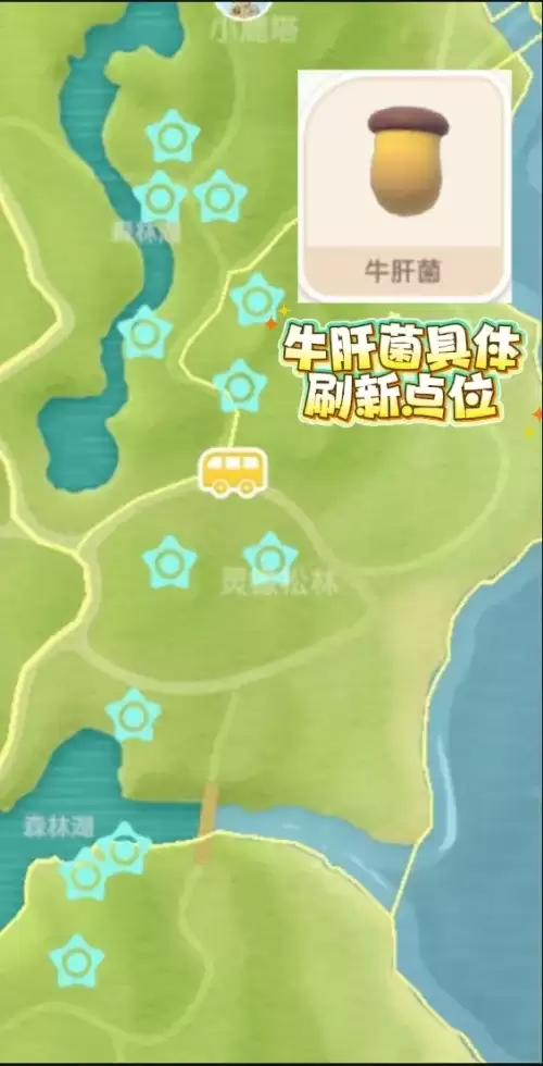 心动小镇蘑菇位置在哪-五种蘑菇位置大全