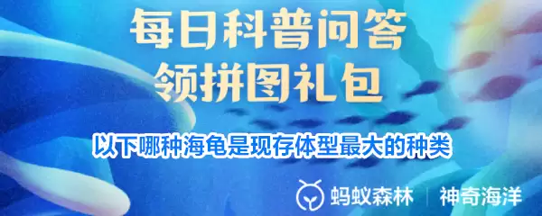以下哪种海龟是现存体型最大的种类