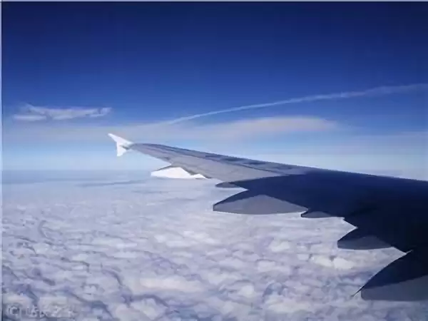 低价机票越来越难抢?AI正在改变航空公司的定价逻辑