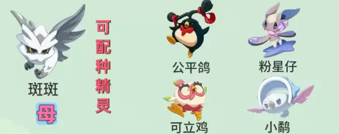 洛克王国世界s3赛季孵蛋公式一览 洛克王国世界s3赛季孵蛋公式一览