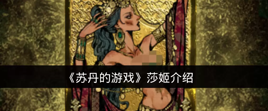 《苏丹的游戏》莎姬介绍
