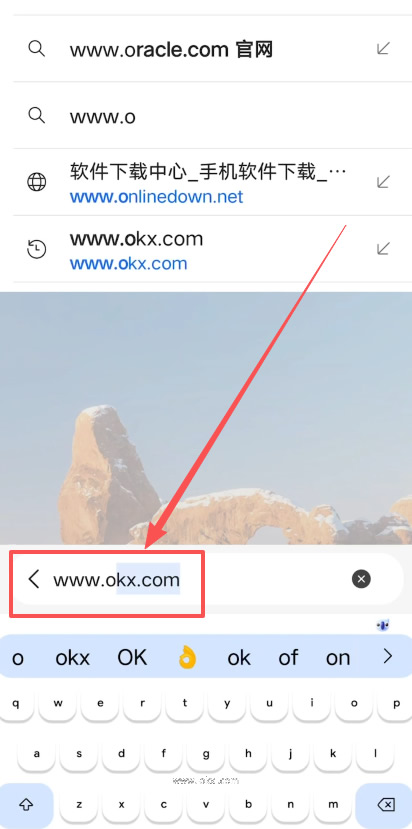 OKX App 网络连接异常截图,用于说明官网打不开时先排查网络和入口来源