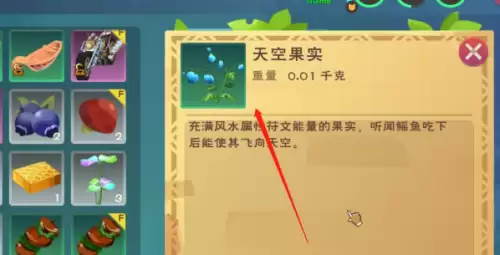 创造与魔法天空果实位置在哪-天空果实位置图一览