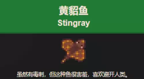 星露谷物语黄貂鱼怎么钓