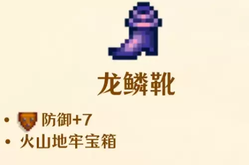 龙鳞靴 龙鳞靴