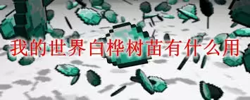 我的世界白桦树叶有啥用途
