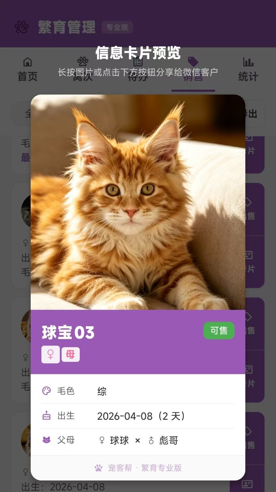 宠客帮