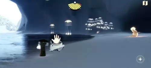 拾起一只螃蟹