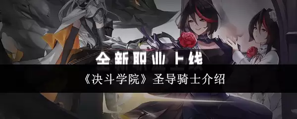 《决斗学院》圣导骑士说明