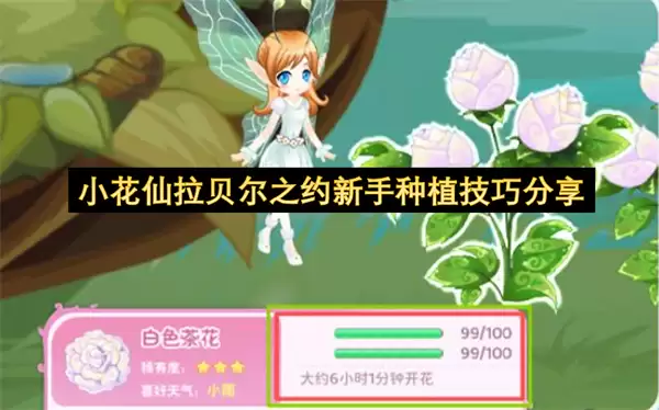 小花仙拉贝尔之约新手种植实用技巧分享
