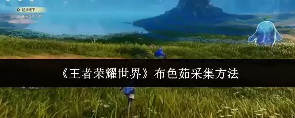 王者荣耀世界布色茹怎么采集 王者荣耀世界布色茹采集做法