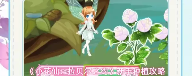 《小花仙:拉贝尔之约》新手种植攻略