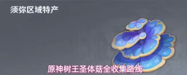 原神树王圣体菇全收集路线
