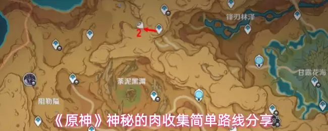 《原神》神秘的肉收集简单路线分享