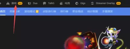 opgg怎么查国服战绩-opgg国服战绩查询方式 opgg怎么查国服战绩-opgg国服战绩查询方式