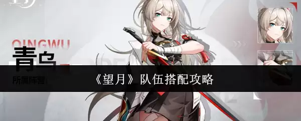《望月》队伍搭配攻略