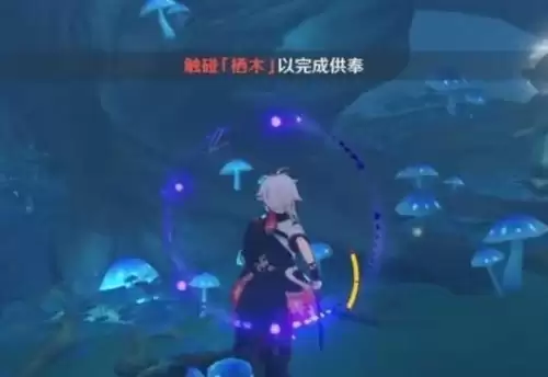 原神雾海纪行三个栖木位置一览3 原神雾海纪行三个栖木位置一览3