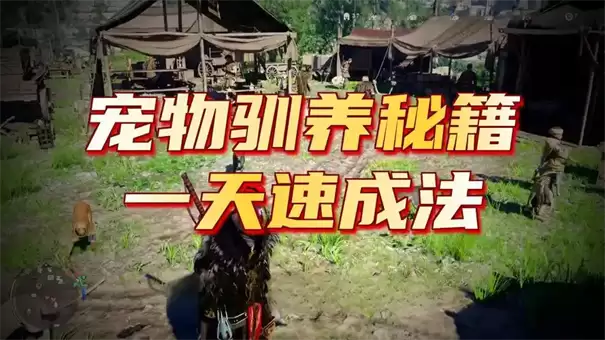 红色沙漠凤凰宠物获取做法