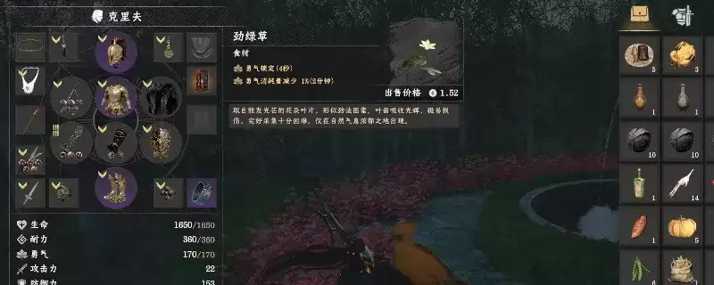 《红色沙漠》战斗快速恢复勇气方法-劲绿草使用技巧详细说明