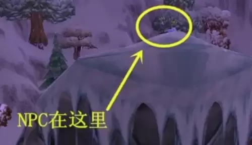 魔兽世界冬泉豹幼崽获取攻略2 魔兽世界冬泉豹幼崽获取攻略2